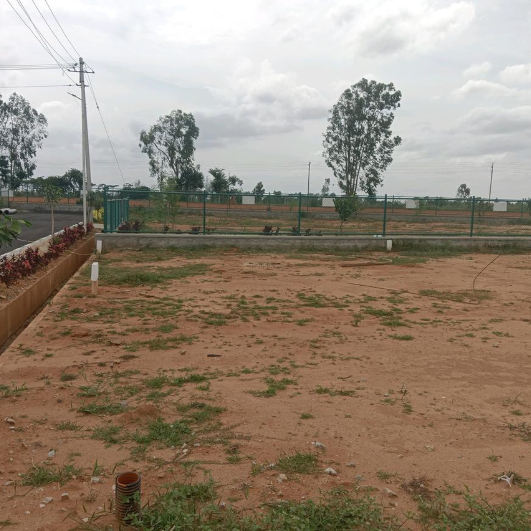 Alora Beneath The Woods